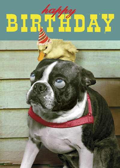 BC162 - Happy Birthday Dog & Duckling Card by Max Hernn